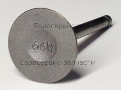 Клапан впускной F9.9,F15BMS